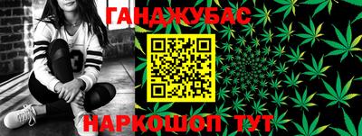 прущие грибы Рыбинск