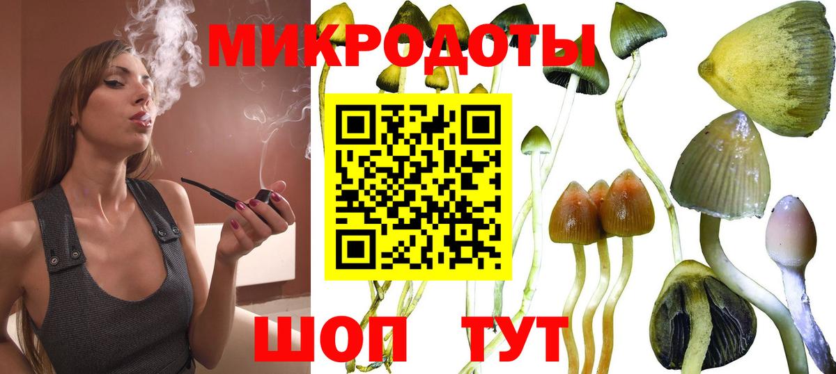 Галлюциногенные грибы MAGIC MUSHROOMS  Псилоцибиновые грибы Magic Shrooms  Нягань  Вход с VPN 