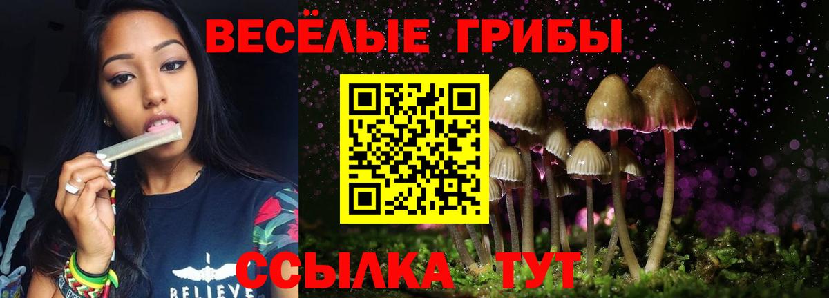 Псилоцибиновые грибы Cubensis Нягань